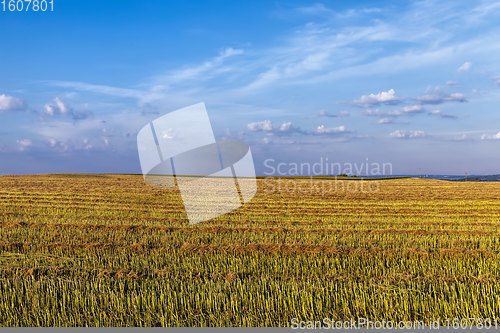 Image of an agricultural field