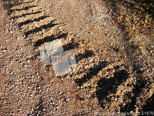 Image of tractor-track