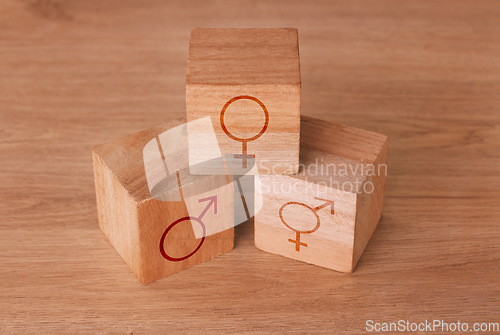 Image of Wood block, transgender and sex equality backgrounds of male, female and lgbtq identity sign, choice and symbols. Closeup design of gender icons cube, social binary transformation and sexuality label