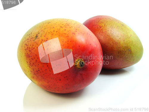Image of Mango, fruit