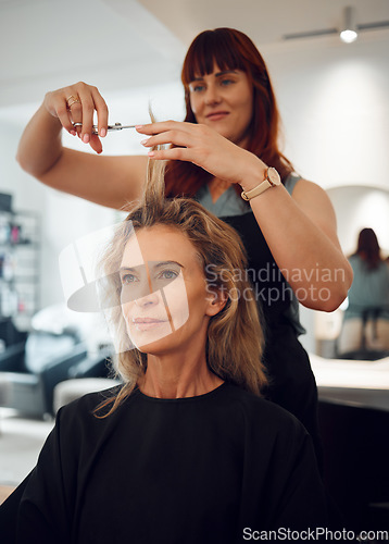 Image of Woman, hair and salon for haircut with hairdresser for beauty, style or makeover. Customer, beautician and cosmetics for professional hair care, service or fashion in studio, spa or shop in Toronto