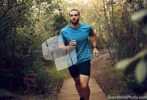 Image of Forest, fitness and runner man training for marathon on trail path in Mexico with concentration. Cardio, workout and goals of guy practicing running speed for athlete competition with focus.