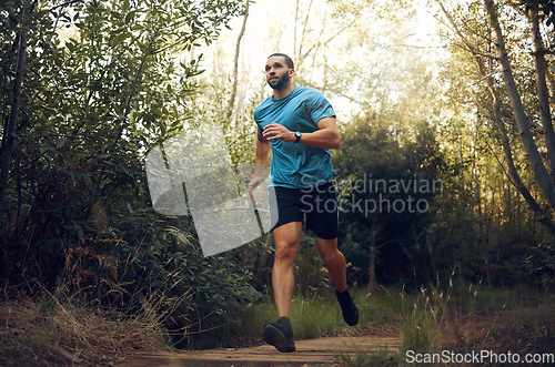 Image of Fit man, nature run in forest and running for cardiovascular health or body wellness past green trees. Sports runner, cardio fitness training and working out doing offroad marathon workout exercise