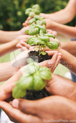 Image of Hands, holding plants and nature soil in care for the environment, community and earth outside. Hand of people working together in hope, nurture and support for a sustainable future and conservation