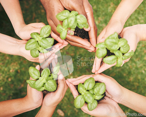 Image of Environment, earth day and hands of a global community using teamwork, collaboration and diversity for sustainability. Carbon capture, accountability and diverse group together for growth development