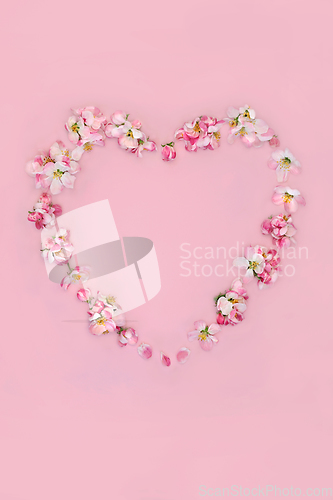 Image of Heart Shaped Apple Blossom Spring Wreath