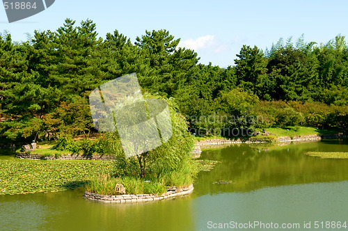 Image of Gardening