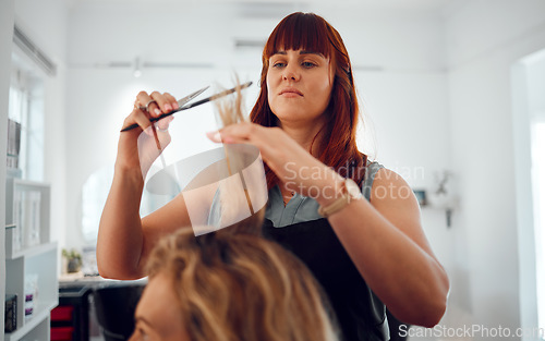 Image of Hairdresser, salon and haircut, woman and hair, comb and scissors for beauty and hair care service. Beautician, entrepreneur and small business, hairstyle and stylist with client for grooming.