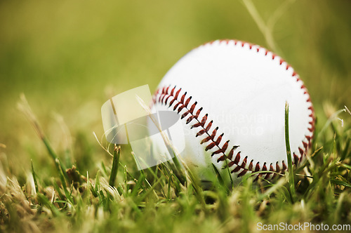 Image of Baseball, sports and outdoor ball in nature on grass for a sport, exercise and fitness training. Pre game, workout match and active athlete equipment for a fun exercising activity on green plants