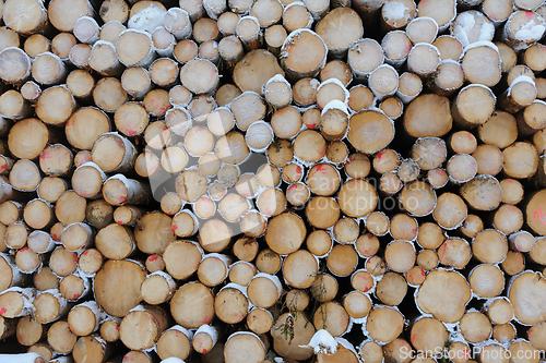 Image of A Stack of Cut Logs