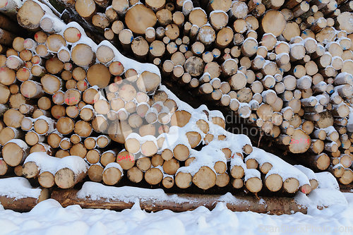 Image of A Pile of Cut Logs Covered in Snow