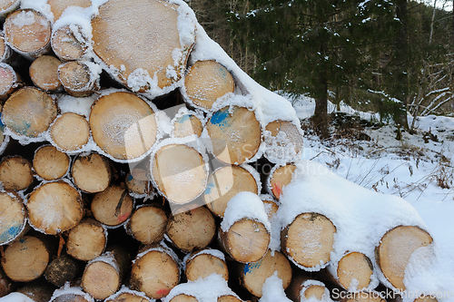 Image of A Pile of Cut Logs Covered in Snow