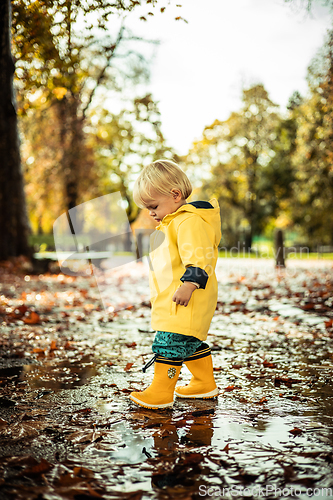 Image of Small bond infant boy wearing yellow rubber boots and yellow waterproof raincoat walking in puddles on a overcast rainy day. Child in the rain.