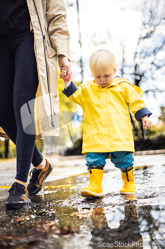 Image of Small bond infant boy wearing yellow rubber boots and yellow waterproof raincoat walking in puddles on a overcast rainy day holding her mother's hand. Mom with small child in rain outdoors.