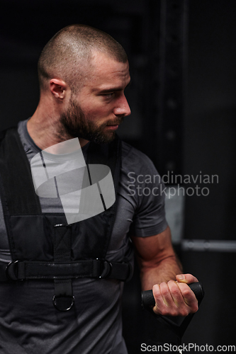 Image of A muscular man working arm exercises in a modern gym, showcasing his strength and dedication to fitness.