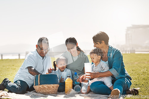 Image of Relax, happy and picnic with big family in park for summer, nature and food together on grass. Spring, retirement and love with mother, children and grandparents in outdoor with youth and calm