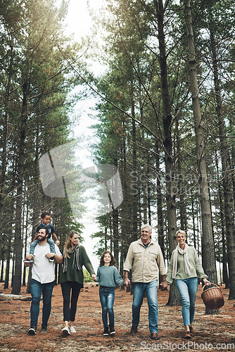 Image of Forest, holding hands and big family walking in nature for outdoor hiking, adventure and wellness holiday with trees. Diversity, adoption and happy community in woods for earth day love celebration