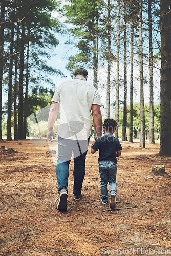 Image of Grandfather, child and hold hands for walk in forest, nature or woods together for bonding. Man and kid by trees, sunshine and summer for walking, fun and happiness on vacation with family