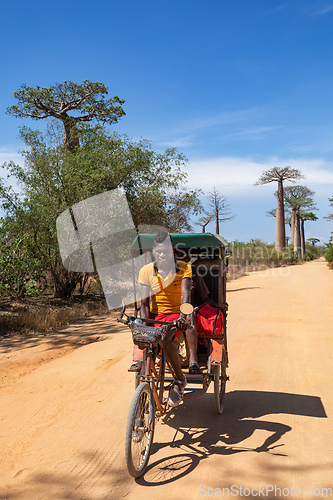 Image of rickshaw travels along the picturesque baobab alley, a popular tourist attraction in Morondava.