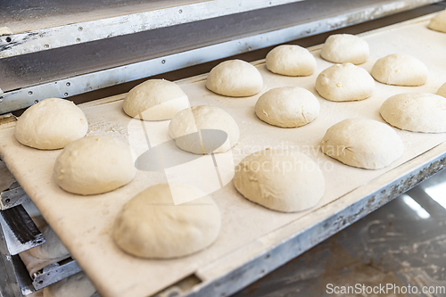 Image of Conveyor with ball dough