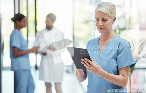 Image of Nurse, tablet and hospital, health and woman check patient information, technology with digital medical data. Clinic, nursing and online medicine report, mature person and healthcare professional.