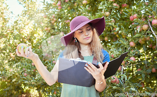 Image of Research, farm and farmer reading about apple farming at an orchard for sustainability, agriculture and growth. Woman with fruit in the countryside for inspection, analysis and knowledge in nature