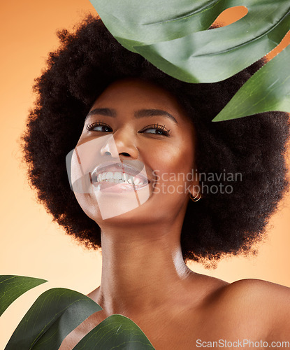 Image of Beauty, skincare and black woman model with plants, skin health and natural hair glow smile. Happy, wellness and cosmetic happiness of a person from Jamaica feeling healthy smiling with a plant