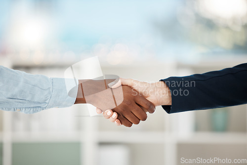 Image of Handshake, deal and teamwork with business people in partnership to welcome, in agreement or hiring staff while shaking hands. Thank you, recruitment and b2b with an employee and colleague in unity