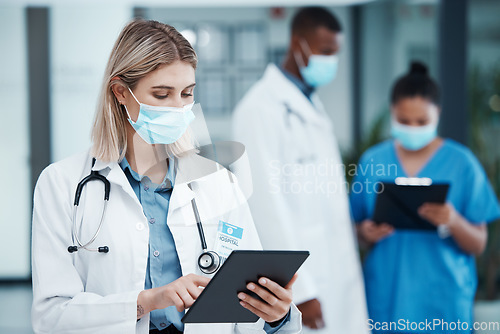 Image of Covid, doctor woman and tablet for results, prevention and check on patients charts online. Telehealth, female and staff with masks, for healthcare and treatment illness, scroll for cure and research