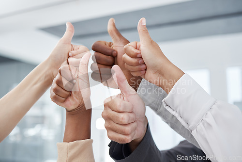 Image of Thumbs up, team and success hand sign to show work community, solidarity and thank you. Office business collaboration, teamwork and yes hands gesture of people with diversity together in agreement