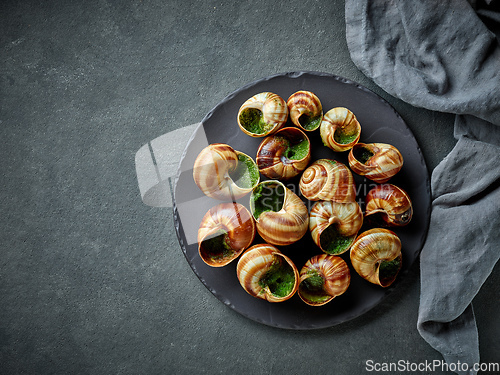Image of plate of baked escargot snails filled with parsley and garlic bu
