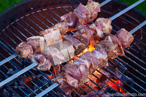 Image of grilled marinated pork meat skewers