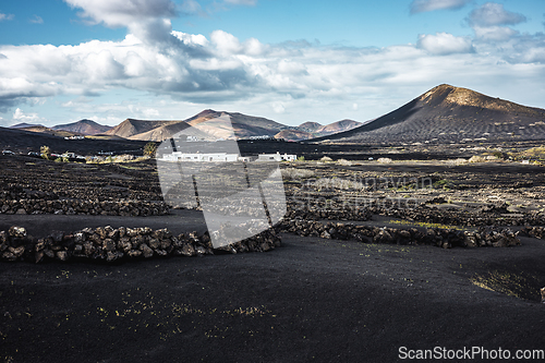 Image of Traditional white houses in black volcanic landscape of La Geria wine growing region with view of Timanfaya National Park in Lanzarote. Touristic attraction in Lanzarote island, Canary Islands, Spain.