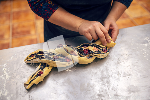 Image of Female hands preparing a poppy seeds babka