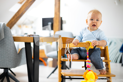 Image of Happy infant sitting and playing with his toy in traditional scandinavian designer wooden high chair in modern bright atic home. Cute baby.