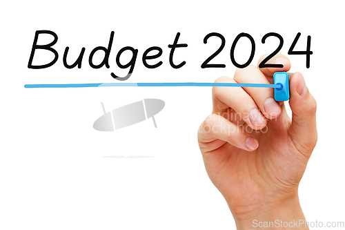 Image of Budget For Year 2024 Financial Concept
