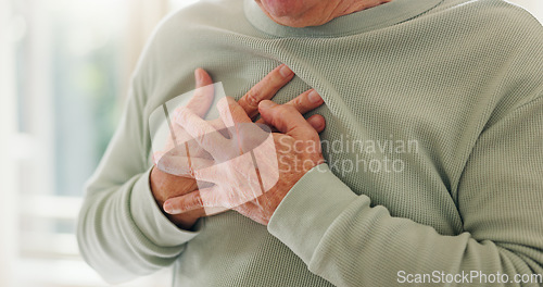 Image of Heart, cardiology and person hands on chest with pain, sick and cardiovascular healthcare closeup. Indigestion, heartburn and health with wellness, elderly care with anxiety attack and hypertension