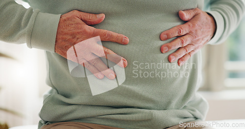 Image of Hands on stomach, closeup and gut health, digestion and nutrition with elderly care and person has pain. Sick, colon and gas with healthcare and wellness, help and support for stress and illness