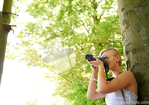 Image of Photographer, shooting and woman in nature with trees, plants and travel in environment. Forest, park and freelancer filming outdoor ecology on summer holiday, trip or tourist with technology