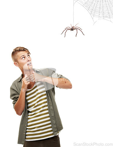 Image of Spooky, spider and man with fear or scared in studio, white background or mockup with horror. Scary, emoji and person afraid of danger with terror and anxiety for Halloween surprise in mock up space