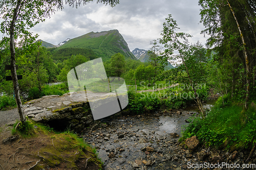 Image of A bridge over a river in a forest