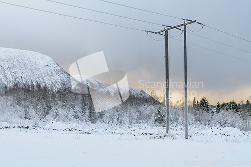 Image of Power poles in a snowy field