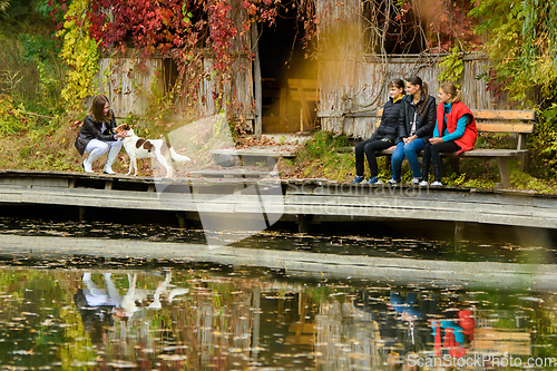 Image of A young beautiful girl strokes a dog by the lake in an autumn park, a girl and two teenage girls are sitting next to her on a bench.