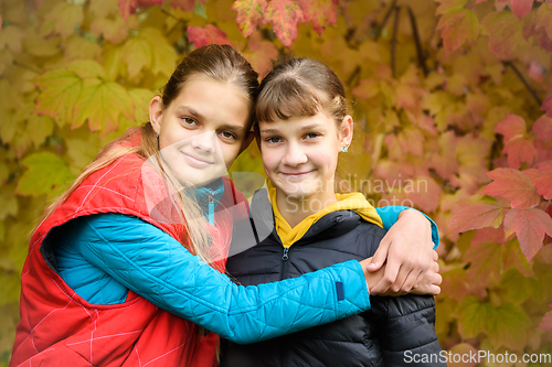 Image of Close-up portrait of two girls of Slavic appearance in casual autumn clothes against the background of an autumn forest