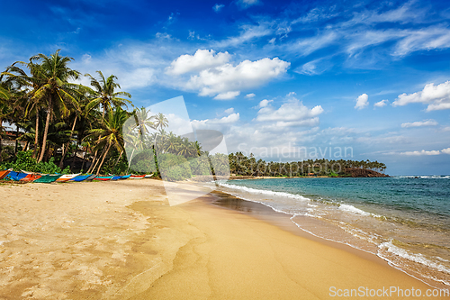 Image of Mirissa beach, Sri lanka