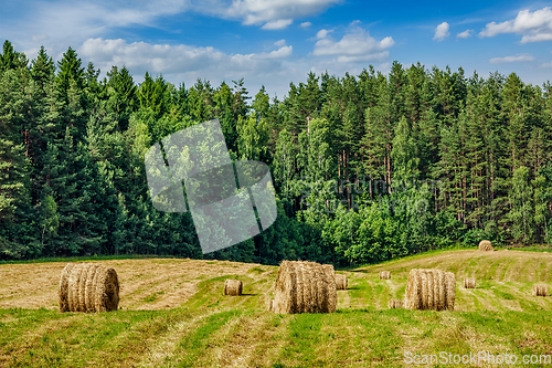 Image of Summer Landscape with Hay Bales on Field