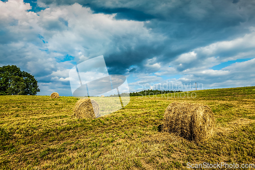 Image of Summer Landscape with Hay Bales on Field