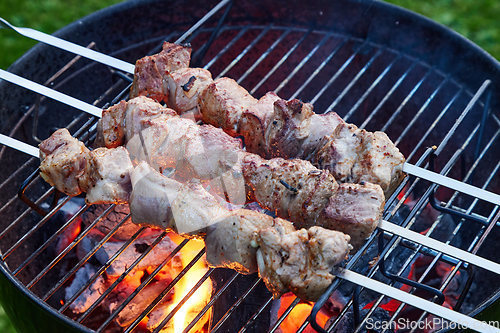 Image of grilled marinated pork meat skewers