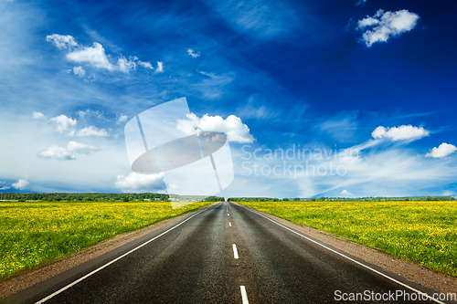 Image of Road in blooming spring meadow