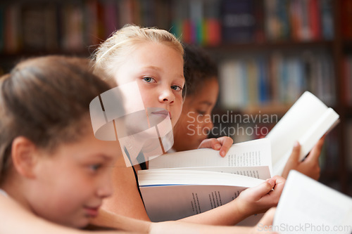 Image of Girl, portrait and reading books in classroom for education, learning and English language, literature or school resources. Face of kid, students or children with novel, textbook or library textbook